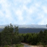Eine gigantische Aussicht genießt man von den Höhenzügen des Margeride. Auf rund 1400 Meter Höhe befindet sich auch das Bison-Reservat