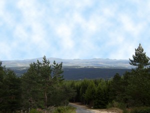 Eine gigantische Aussicht genießt man von den Höhenzügen des Margeride. Auf rund 1400 Meter Höhe befindet sich auch das Bison-Reservat