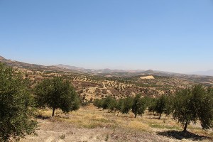 Blick von Agia Varvara Richtung Lassithi-Plateau