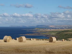 Die Region Banffshire an der Nordsee: Hier wird Gerste für den Whisky angebaut