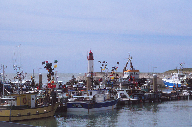 La Cotiniere - "der" Fischerhafen der Region