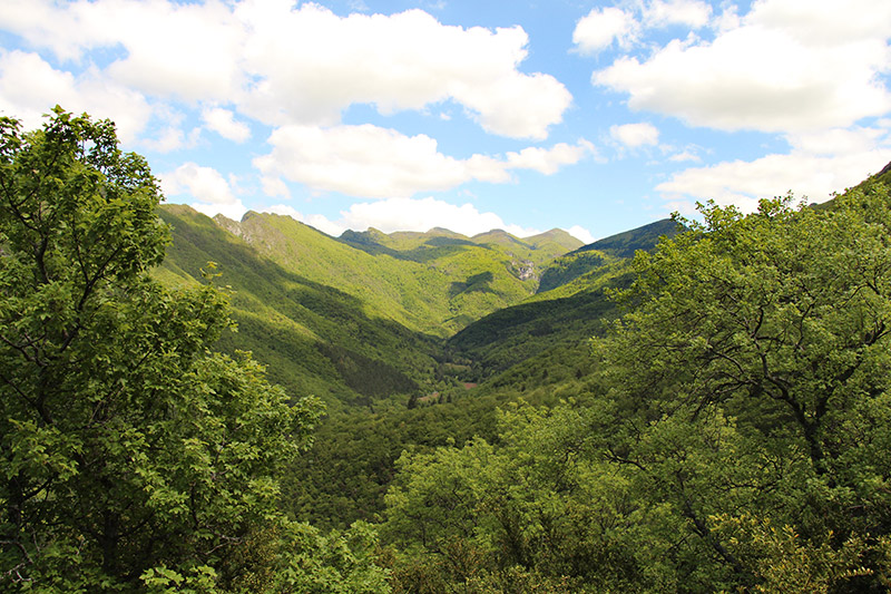 Foret de Saou – Wandern und Klettern im Departement Drome