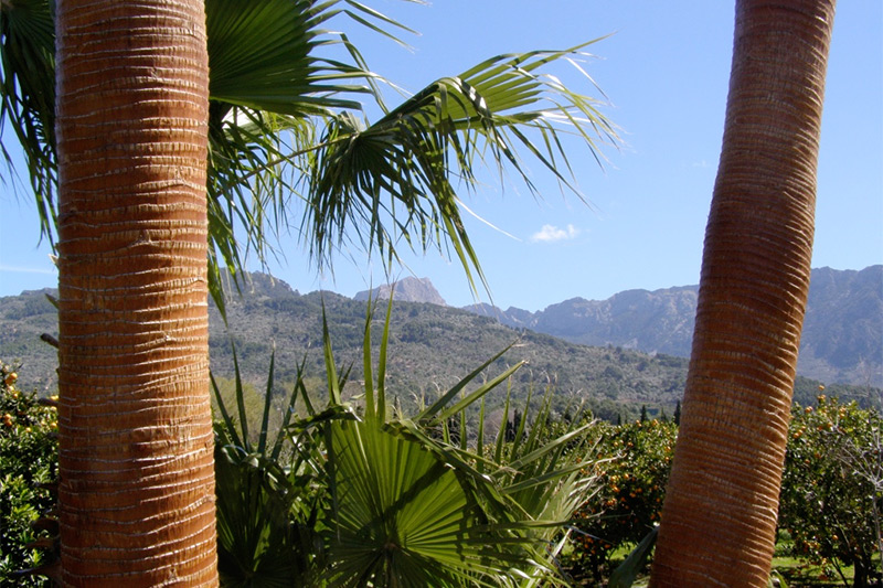 Mit dem Mietwagen durch Mallorca