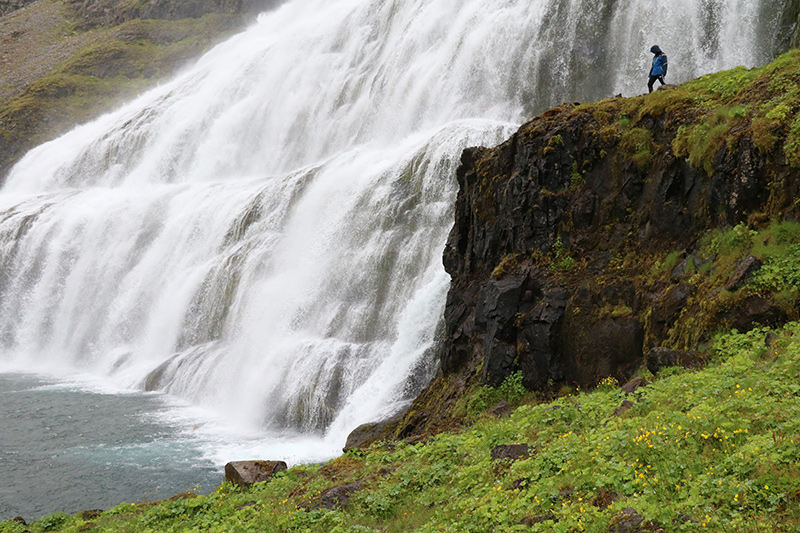 die Westfjords – wo Island noch einsam ist