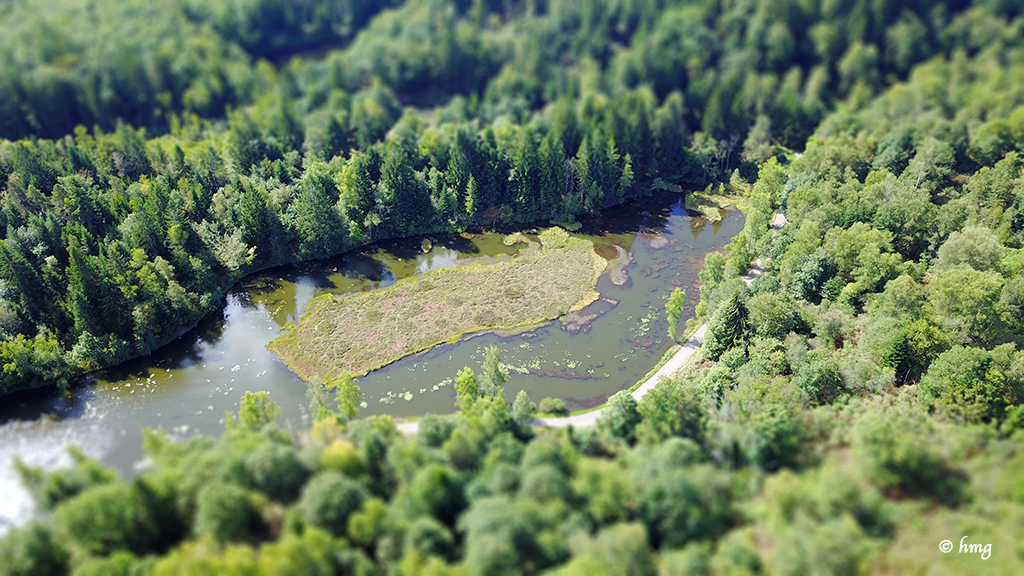 les 1000 etangs – die 1000 Seen des Haute-Saòne