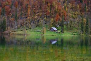 im Herbst für Fotografen ein Traum: die bunten Herbstwälder am Königssee
