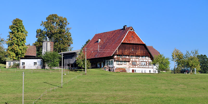 Historische Höfe und Mühlen: Eine Wanderung im Schwarzwald