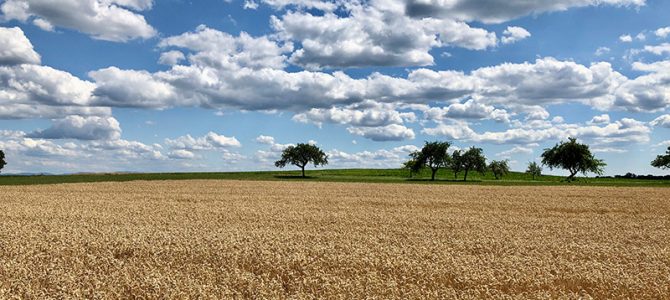 Unterwegs im “Corona”-Sommer