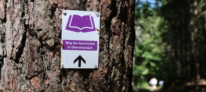 Zugewachsenes Kriegselend: Der Westwall am “Otterbachabschnitt”
