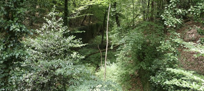 Ouvrage du Hochwald: Das Kernstück der Maginot-Linie