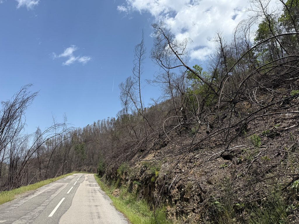 die Straße nach Candal, ca. 800 m westlich des Ortes, Foto vom 27. Mai 2026